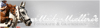 Homepage von Maike Mller besuchen