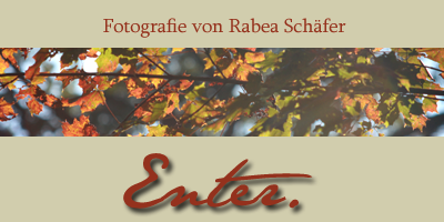 Homepage Rabea Schfer besuchen