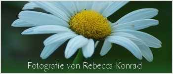 Homepage von Rebecca Konrad besuchen