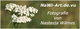 Homepage von Nastasja Wilmes besuchen