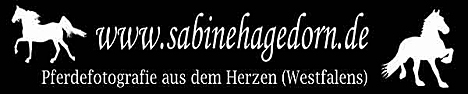 Homepage von Sabine Hagedorn besuchen